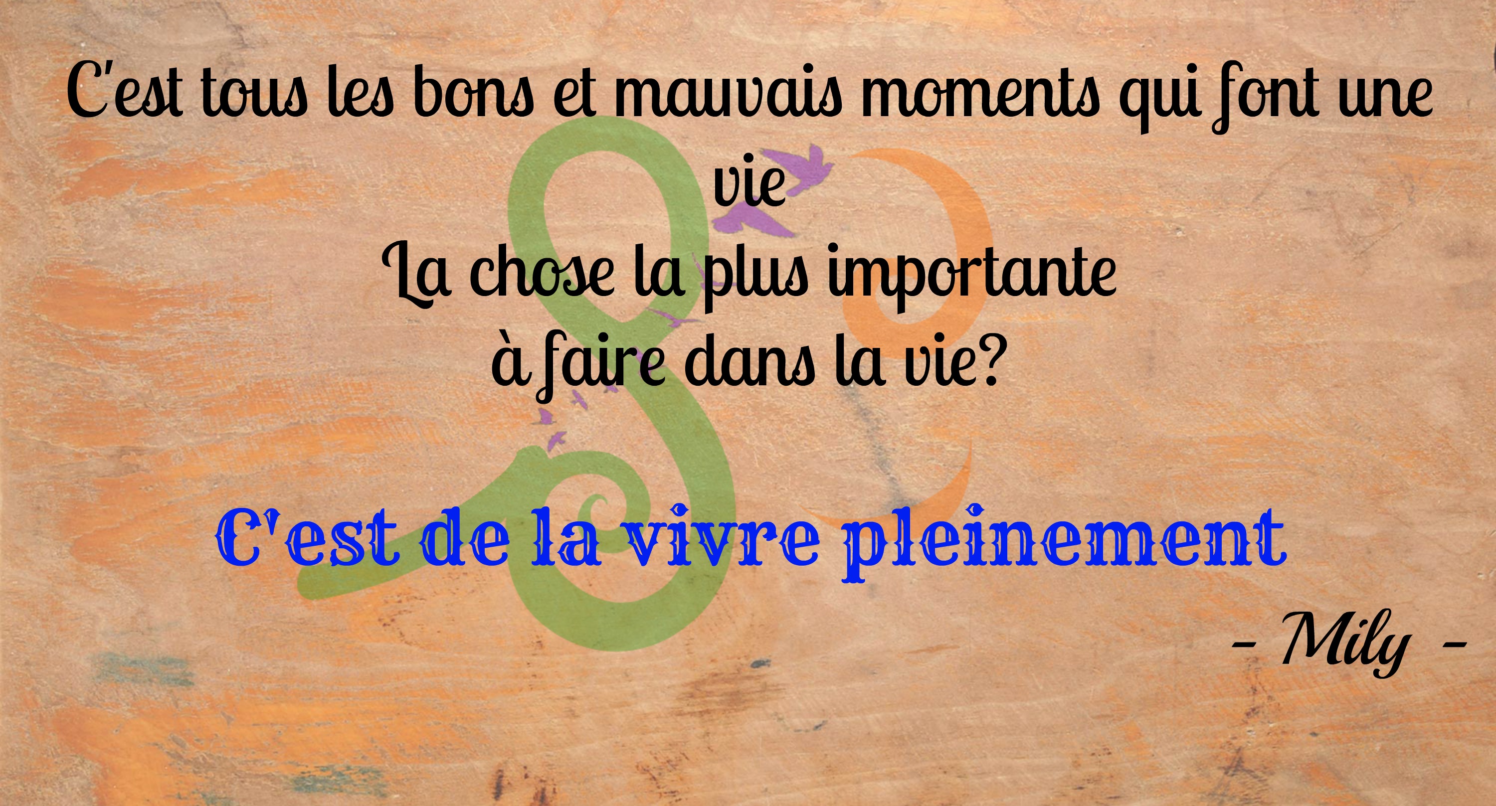 You are currently viewing Citation du jour