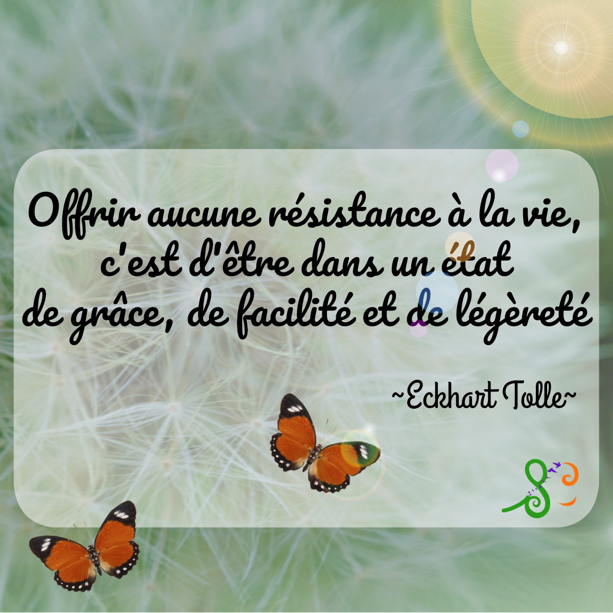 You are currently viewing Citation du jour