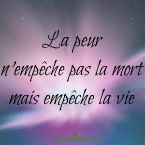 Read more about the article Citation du jour