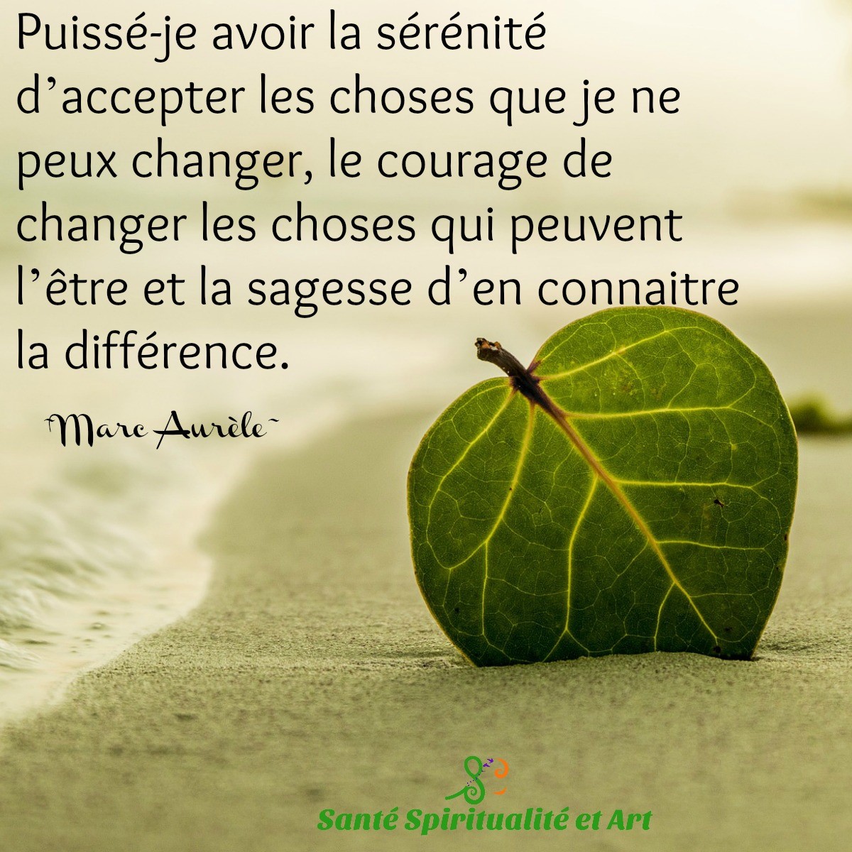 Read more about the article Citation du jour